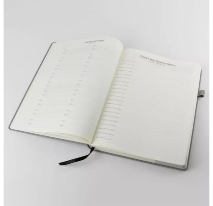 AGENDA BOX DIARIA_ABDG42025_06